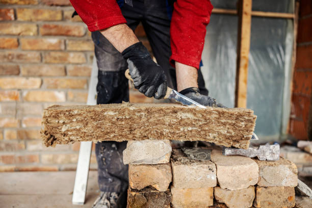 Best Insulation Removal  in Marion, VA